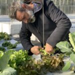 Paolo Gazzotti IMPIANTI AEROPONICI