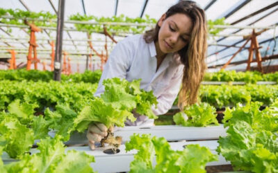 (Senza) Terroir – La nostra visione dell’agricoltura del futuro – Anna Prandoni intervista Paolo Gazzotti su Linkiesta