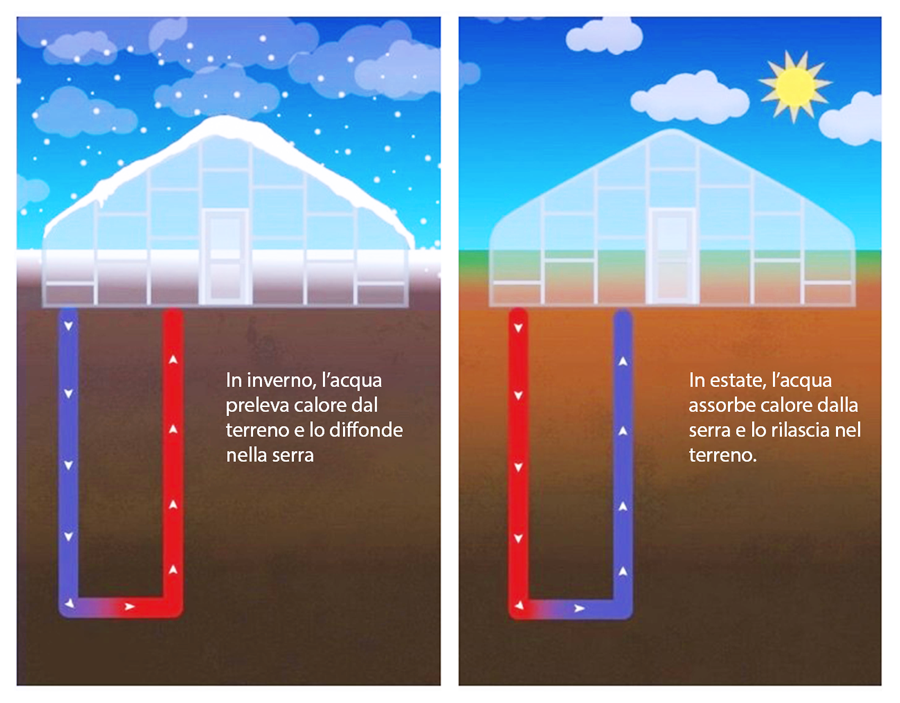 geotermico per scaldare il basilico e le serre senza inquinare 